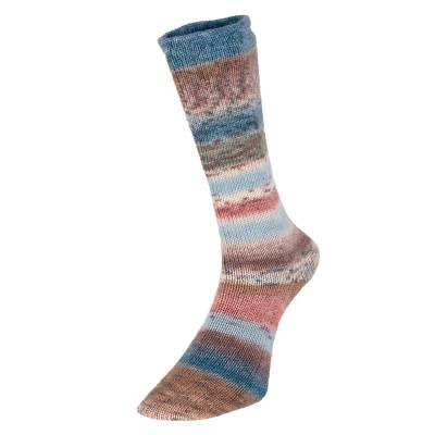 Evolution Celebration sock